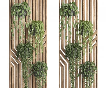 Modern Chlorophytum Comosum-ID:517988926