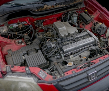 Modern Other-ID:144083027