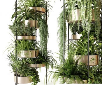 Modern Chlorophytum Comosum-ID:289057971