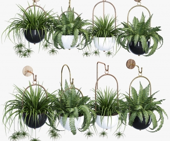 Modern Chlorophytum Comosum-ID:735083101