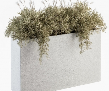 Modern Flower Bed, Flower Bowl, Flower Box-ID:855854038