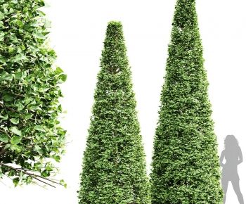 Modern Tree-ID:717663053