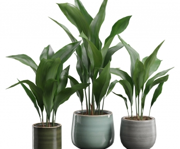 Modern Ground Green Plant Potted Plants-ID:876363993