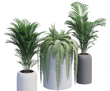 Modern Ground Green Plant Potted Plants-ID:847234966