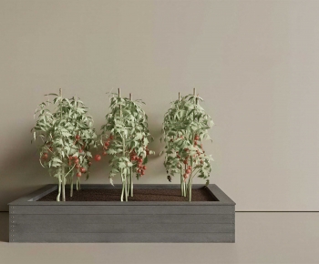 Modern Crop-ID:746423013