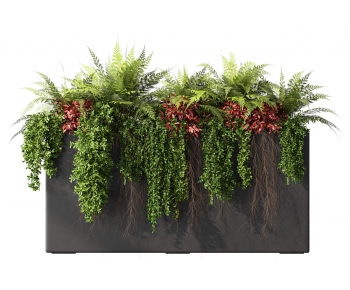 Modern Flower Bed, Flower Bowl, Flower Box-ID:785943034