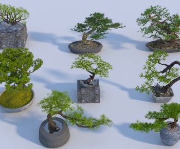 Modern Ground Green Plant Potted Plants-ID:743999964