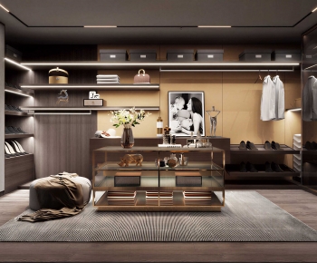 Modern Clothes Storage Area-ID:328938965