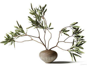 Wabi-sabi Style Aquatic Green Plant-ID:609128954