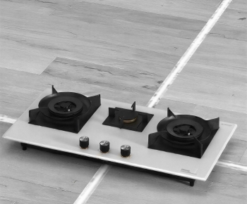 Modern Kitchen Electric Gas Range-ID:760119929