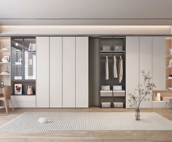 Modern Clothes Storage Area-ID:748995077