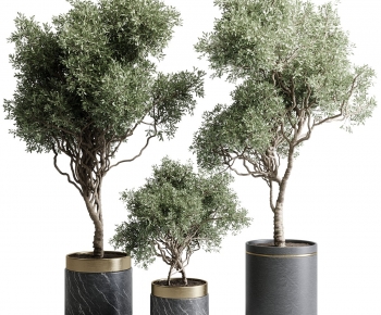 Modern Ground Green Plant Potted Plants-ID:143718966