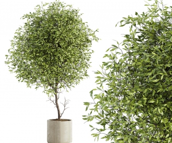 Modern Ground Green Plant Potted Plants-ID:105860247