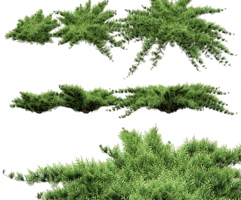 Modern The Grass-ID:418776992