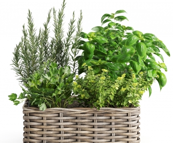 Modern Flower Arrangement-ID:177841906