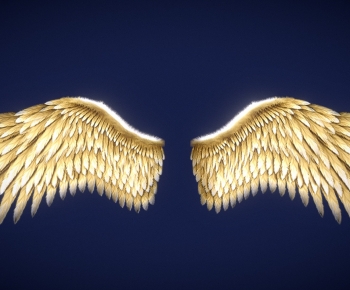 Modern Other-ID:608730328