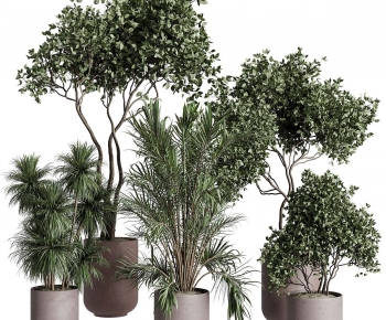 Modern Ground Green Plant Potted Plants-ID:257905965