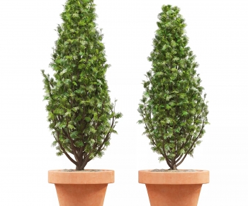 Modern Ground Green Plant Potted Plants-ID:357635021