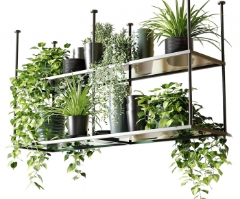 Modern Potted Green Plant-ID:291152954