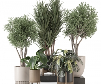 Modern Ground Green Plant Potted Plants-ID:247132061
