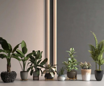 Modern Potted Green Plant-ID:937846902