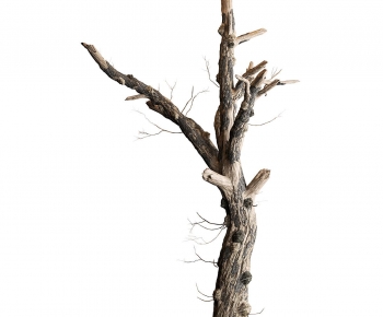 Modern Tree-ID:283106099