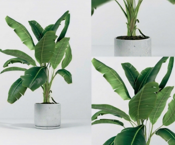 Modern Ground Green Plant Potted Plants-ID:501208076