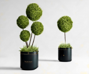 Modern Ground Green Plant Potted Plants-ID:666707995