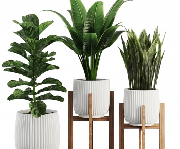 Modern Ground Green Plant Potted Plants-ID:685636047