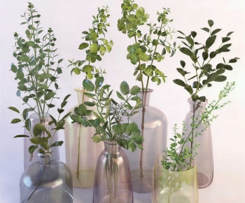 Modern Aquatic Green Plant-ID:784961945