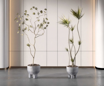Modern Ground Green Plant Potted Plants-ID:483434924