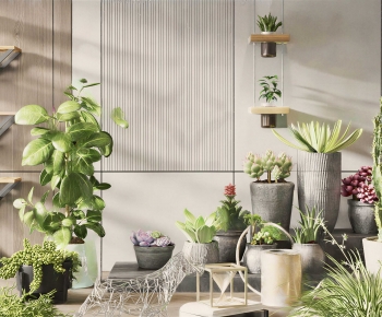 Modern Ground Green Plant Potted Plants-ID:597997905