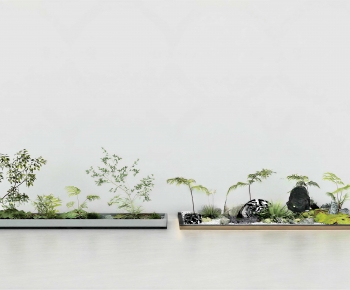 Modern Plant Landscaping-ID:579469927