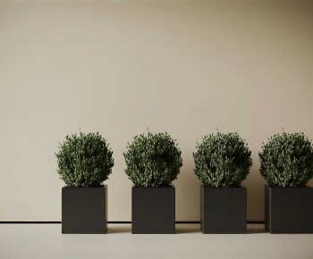 Modern Flower Bed, Flower Bowl, Flower Box-ID:631016023