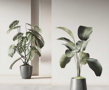 Modern Ground Green Plant Potted Plants-ID:229163897