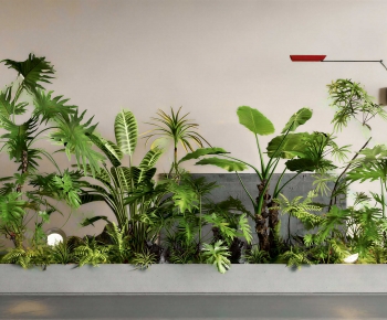 Modern Plant Landscaping-ID:636544945