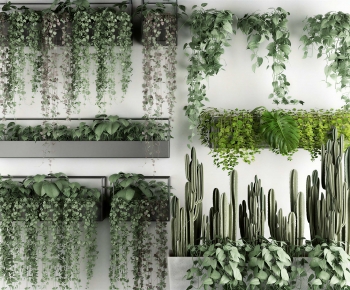 Modern Vine-ID:465482959