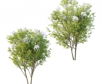 Modern Tree-ID:854218968