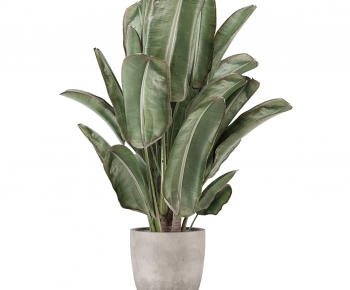 Modern Ground Green Plant Potted Plants-ID:282016045