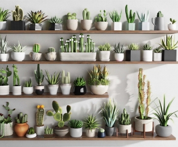 Modern Desktop Plant-ID:501852045