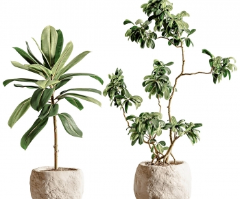 Modern Ground Green Plant Potted Plants-ID:561609983