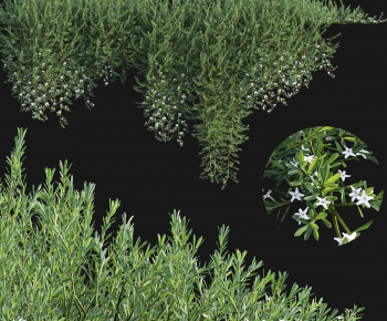 Modern The Grass-ID:850951914