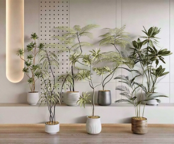 Modern Ground Green Plant Potted Plants-ID:132277976