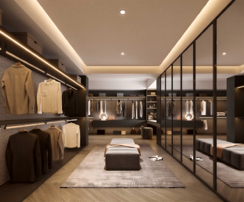 Modern Clothes Storage Area-ID:312650928