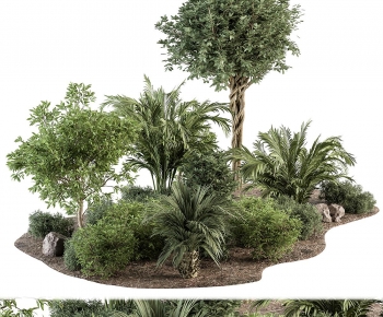 Modern Plant Pile-ID:883505115