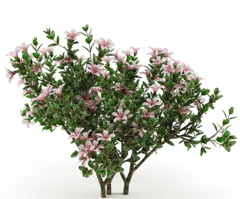 Modern Tree-ID:241682053