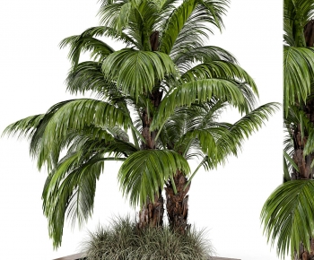 Modern Tree-ID:156765947