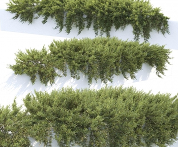 Modern Shrubbery-ID:144748936