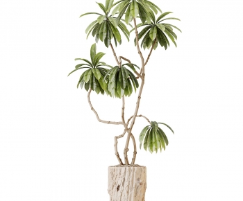 Modern Ground Green Plant Potted Plants-ID:883667953
