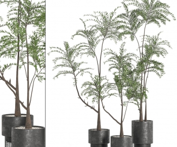 Modern Ground Green Plant Potted Plants-ID:116275074